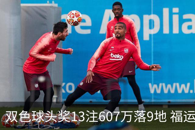 双色球头奖13注607万落9地 福运奖开1004万注