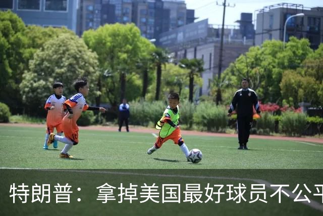 特朗普：拿掉美国最好球员不公平 只要求复核无关决定