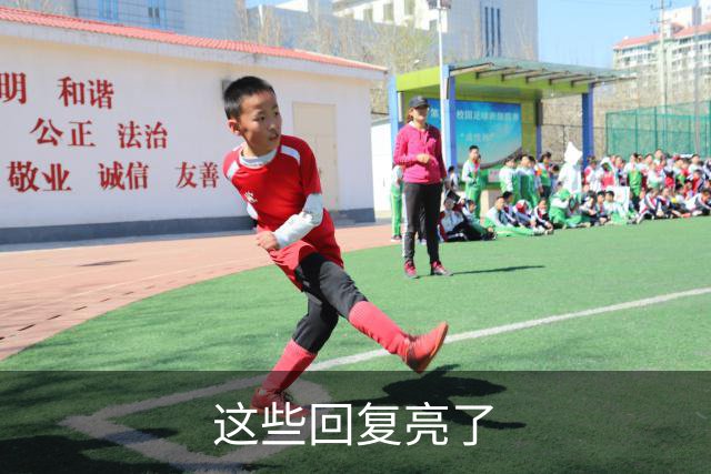 这些回复亮了